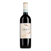 Antiche Terre Venete - Valpolicella Superiore - 0.75L - 2021