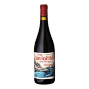 Companhia de Vinhos Invencível - Invincible Tinta No 1 - 0.75L - 2023