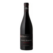 Domaine Germain Père & Fils - Saint-Romain Sous le Château - 0.75L - 2021