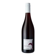 Domaine Guy Allion - Les Parcs Pinot Noir - 0.75L - 2024