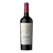 Pannunzio - Malbec - 0.75L - 2024