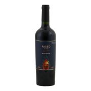 Paseo - Carmenère Reserva - 0.75L - 2021