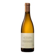 Rosi Schuster - Gols Ried Ungerberg Grüner Veltliner - 0.75L - 2021