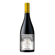Santa Rita - Floresta Cabernet Franc - 0.75L - 2021