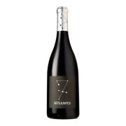 Sietejuntos - Syrah - 0.75L - 2012