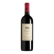 Tenuta di Biserno - Insoglio del Cinghiale - 1.5L - 2022