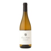 Tenuta di Carleone - Pianvecchio - 0.75L - 2021