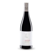 Weingut Paul Achs - Gols Ried Ungerberg Blaufränkisch - 3L - 2019
