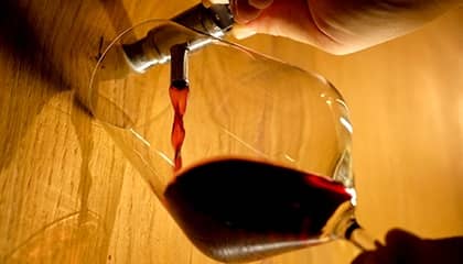 domaine canalicchio di sopra