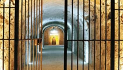 vin moet chandon