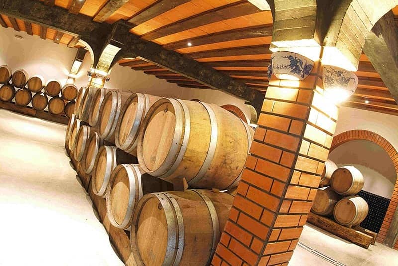 Quinta de Cabriz cave à vin