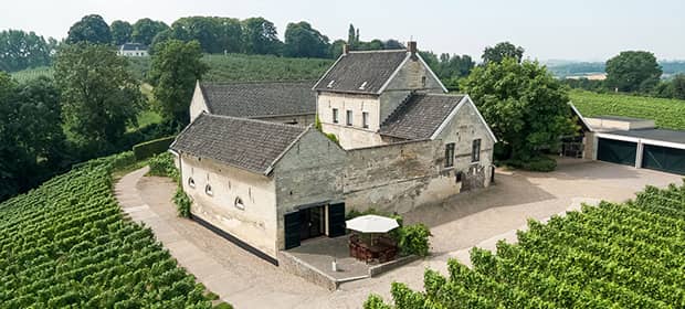 vins des Pays-Bas