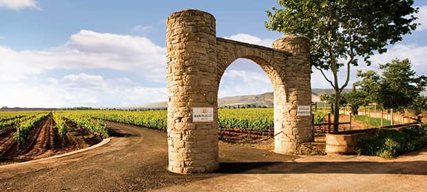 vins d'espagne