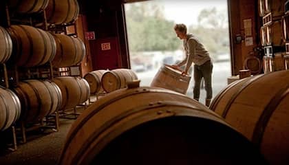verite vin